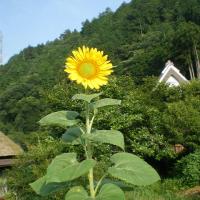 23位のイメージ