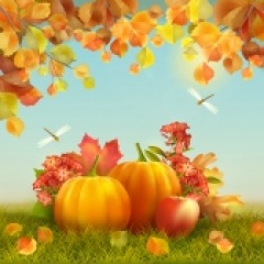 35位のイメージ