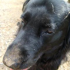 18位のイメージ