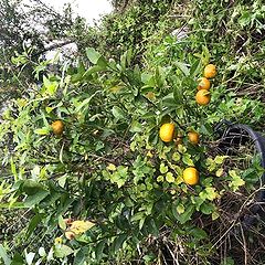 86位のイメージ