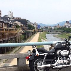 268位のイメージ