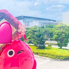 15位のイメージ