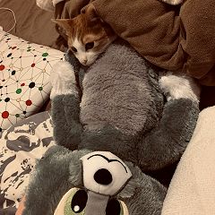 71位のイメージ