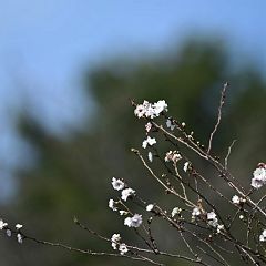 24位のイメージ