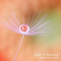 90位のイメージ