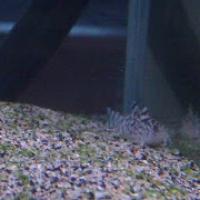 19位のイメージ