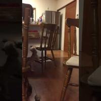 15位のイメージ