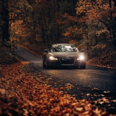 148位のイメージ