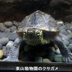 22位のイメージ