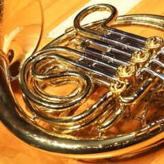 17位のイメージ