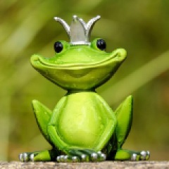 33位のイメージ