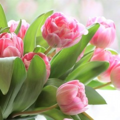 94位のイメージ