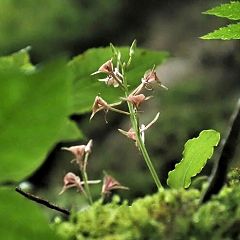 70位のイメージ