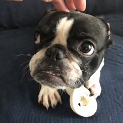 211位のイメージ