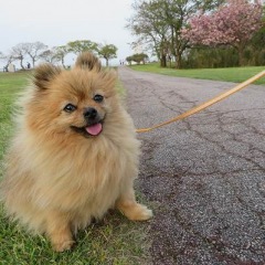 40位のイメージ