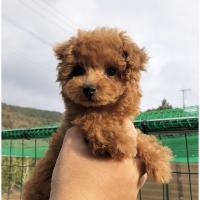 10位のイメージ