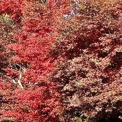 19位のイメージ