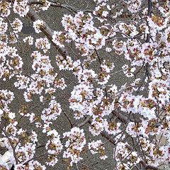 21位のイメージ