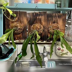 26位のイメージ