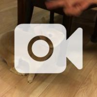 12位のイメージ