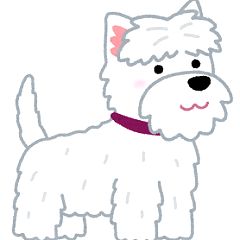 11位のイメージ