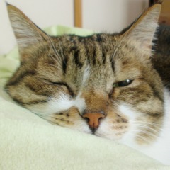 20位のイメージ