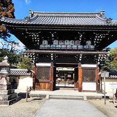 42位のイメージ