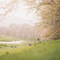 147位のイメージ