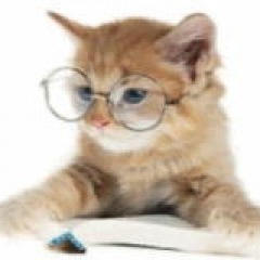 35位のイメージ