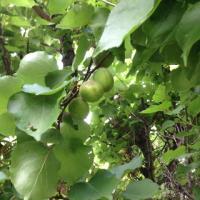 81位のイメージ