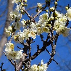 113位のイメージ