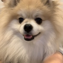 17位のイメージ