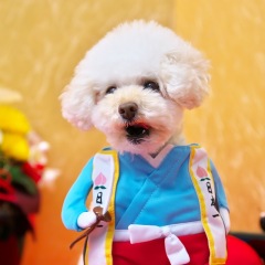 1069位のイメージ