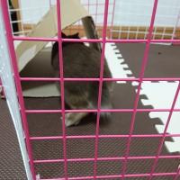 23位のイメージ