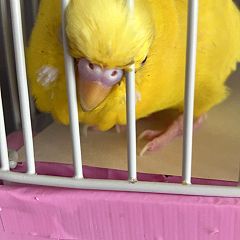 92位のイメージ