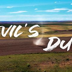 12位のイメージ