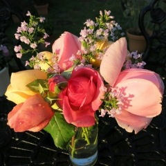 13位のイメージ