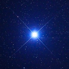 221位のイメージ