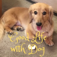 247位のイメージ