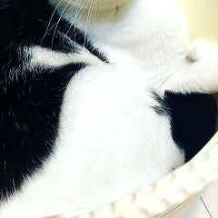 17位のイメージ