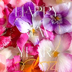 19位のイメージ