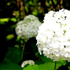 64位のイメージ