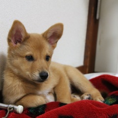 26位のイメージ