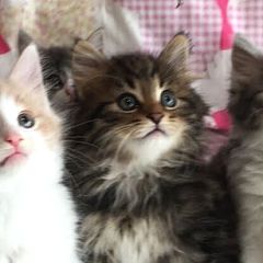 13位のイメージ