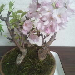 187位のイメージ