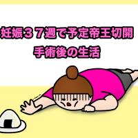 13位のイメージ