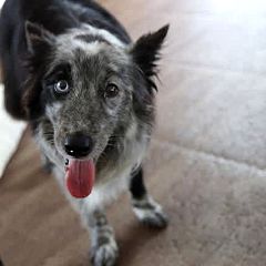 18位のイメージ