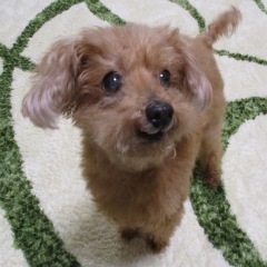 25位のイメージ