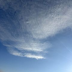 44位のイメージ