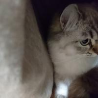 16位のイメージ